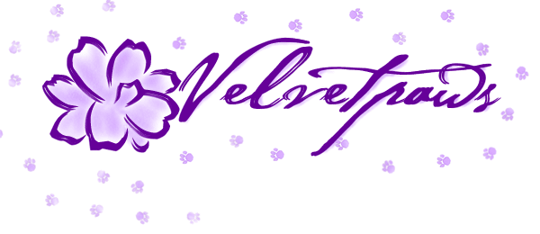 Velvetpaws